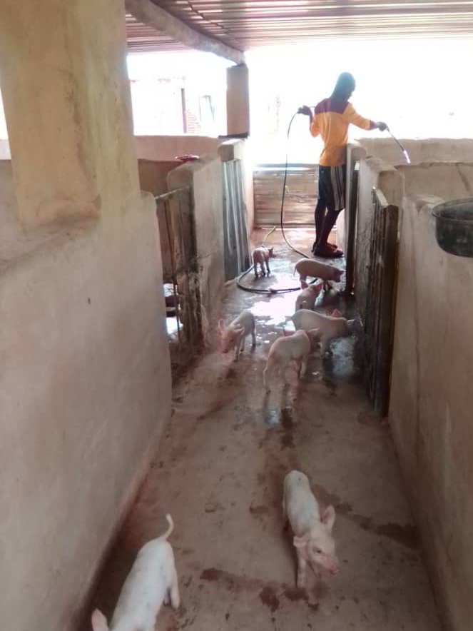 Daily Routine..... Cleaning