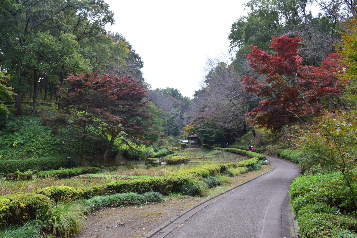 ramunephoto's tweet photo. #212
2020年11月
薬師池公園⑪ https://t.co/qLqCJNWkAJ