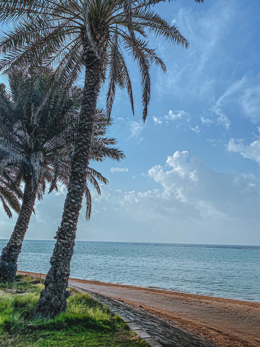1iteria's tweet photo. كل الصباحات شاهده إني أحبك🤍. https://t.co/yKyadJdwRf