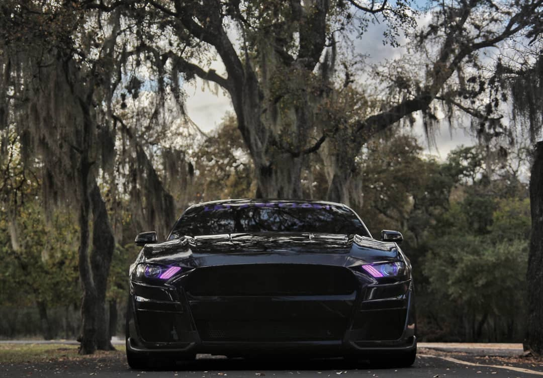 mpconceptsau's tweet photo. It’s Tuesday and it’s time to show the amazing front end shots 🔥🚘

@kaleighs550
#gt500style #mustanggt500 #shelbygt500 #gt500mustang #mustanggt350 #gt350mustang #gt350style #shelbygt350 #mpconcepts #mpconceptsau #mpconceptsaustralia #fordmustang #mustangs550 #mustanggt https://t.co/GfQtPdQXZk