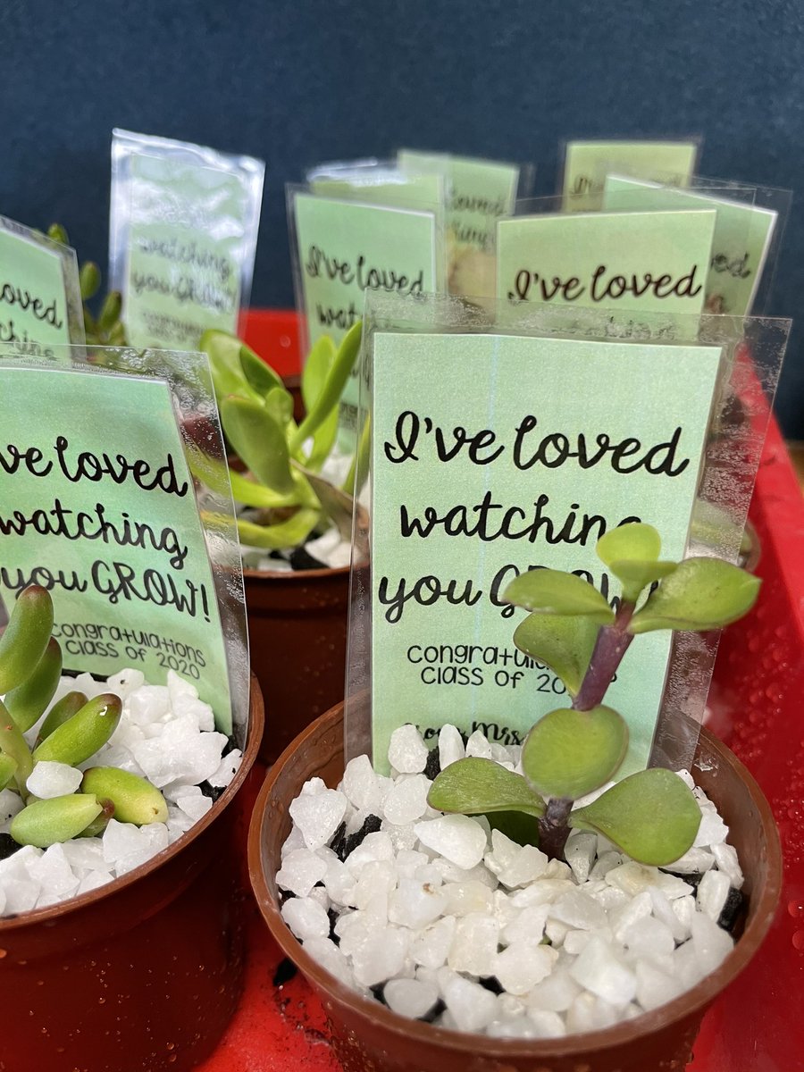 Gifts for my amazing Yr 6 class. I’m going to miss them! #Classof2020 #thirlmereps #edutwitter #teachertwitter