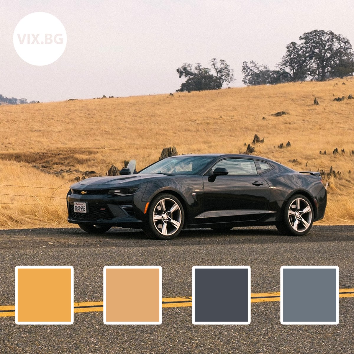 vixbg's tweet photo. 🌈 #design #color #colors #patterns #palettes #schemes #combinations https://t.co/298MpIiUnj