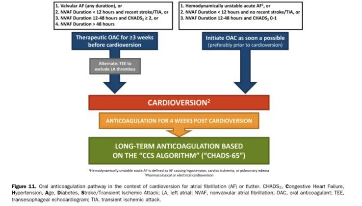 Afibchat Twitter Search