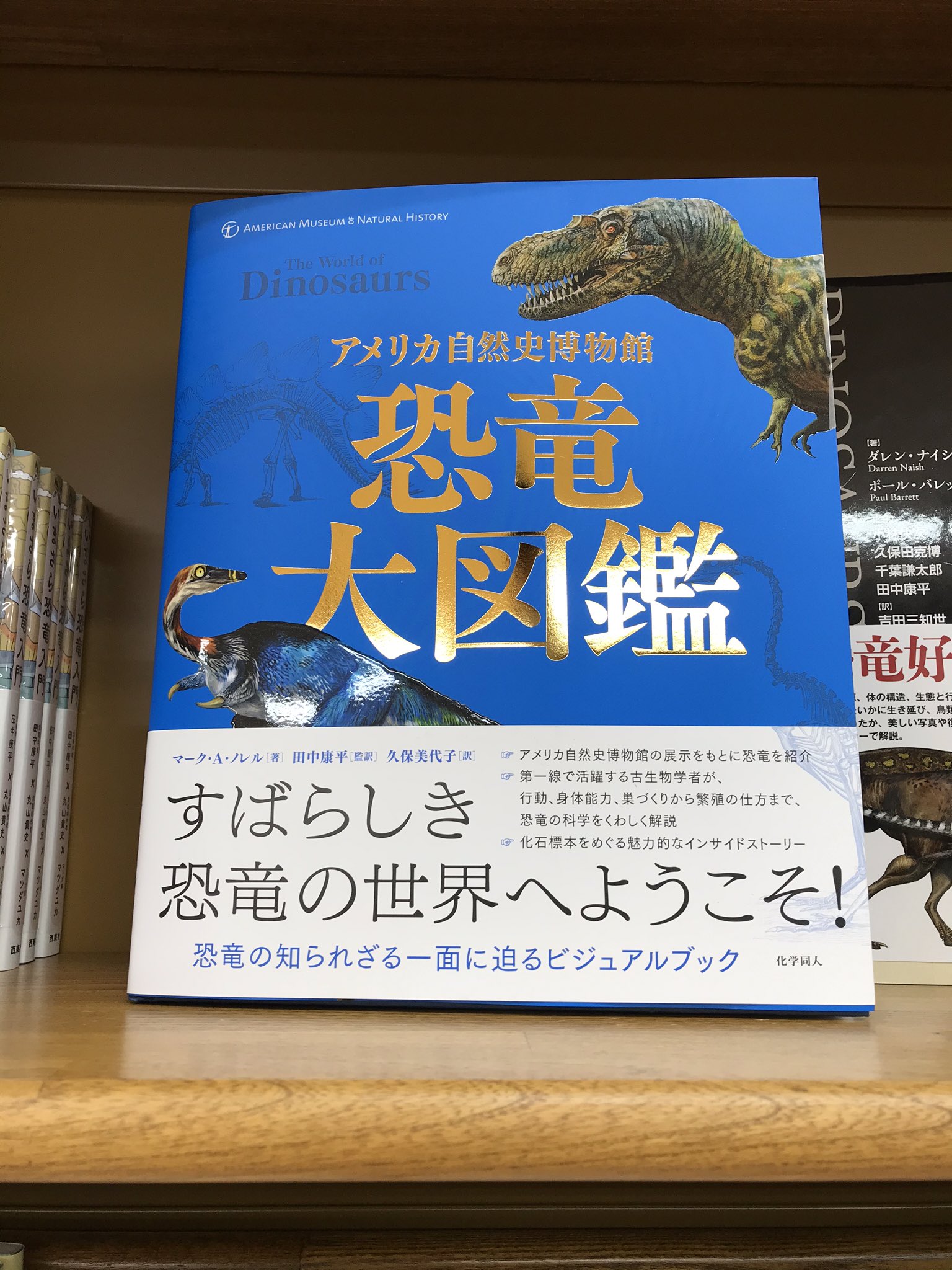 をもとに 恐竜大図鑑 - 通販 - PayPayモール アメリカ自然史博物館