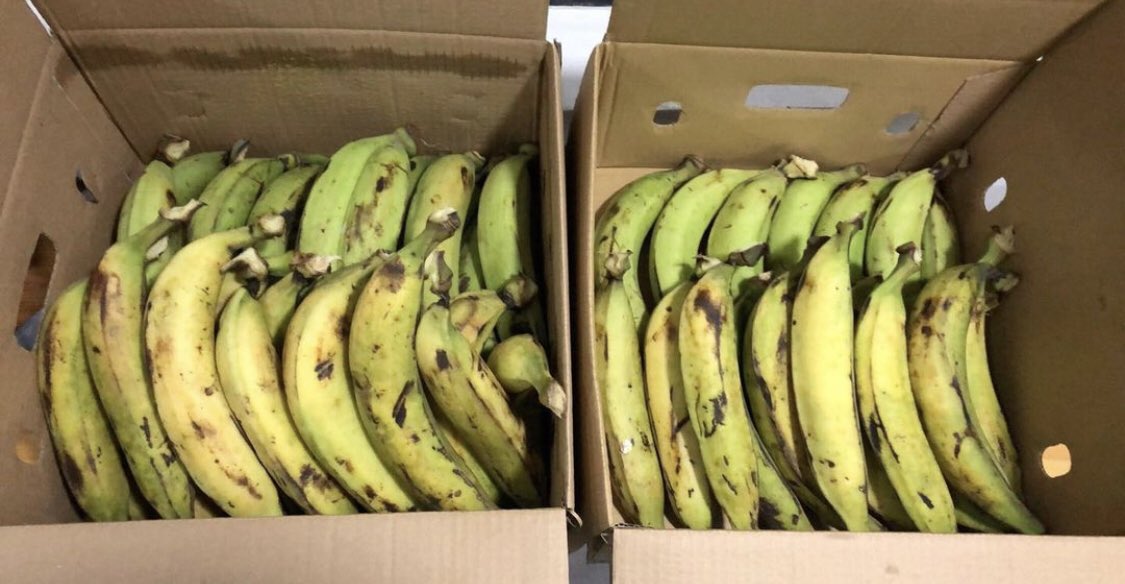 plantainrepub's tweet photo. Hi, We are available to serve you fresh organic #plantain today. Have you placed an order yet? Don’t dull 😉 https://t.co/TZa5zGs5IJ