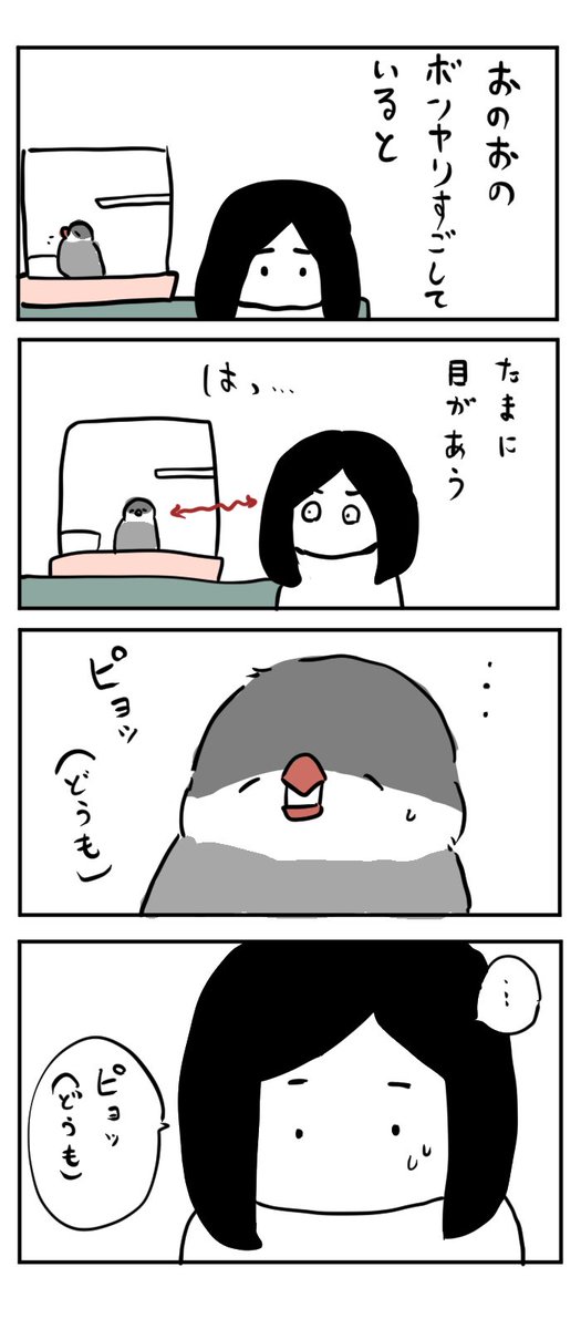 イマイマキ En Twitter 文鳥と人間 お互いやる気のないときは軽い挨拶で済ます