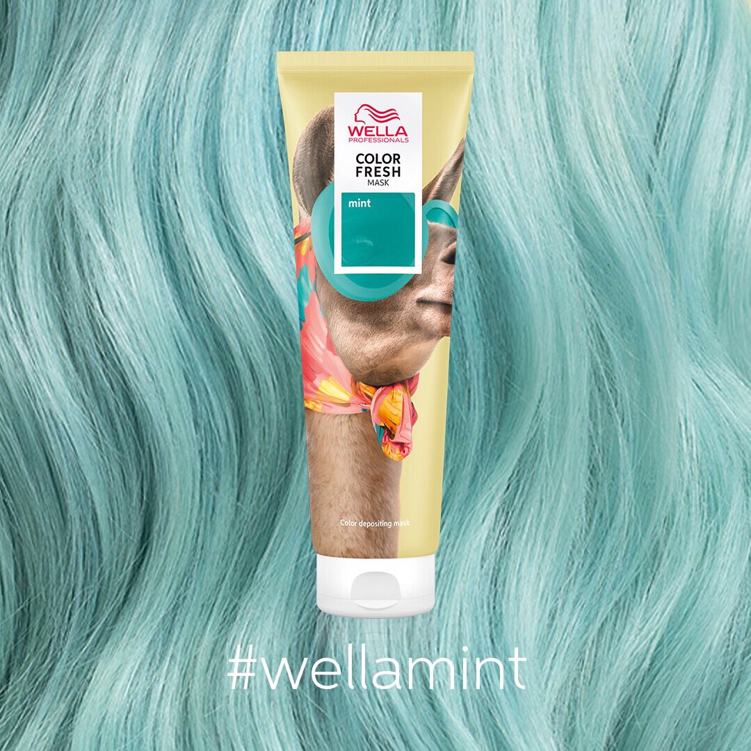 pkaihair's tweet photo. π¬π¬ minty goodness from the new #wellamint #colorfreshmask. Β£15.50 Drop us a π below if you are loving this colour?
.
.
#pkaiwestgate #pkaihair #salon #hair #style #hairstyle #wella #wellahair #wellasalon #peterborough #eimi #systemprofessional #colour #color https://t.co/yD41YfWeSt