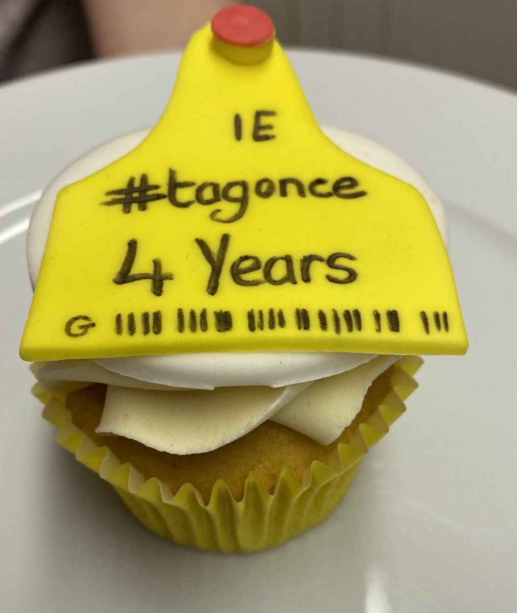 CormacTagging's tweet image. 4 years ago today....
The first calf tag left Tuam! 🐄🏷

Today we are celebrating 🥳 with our Team. 🏆

Thank you so much to all our customers who have made this whirlwind of a journey possible 
#grateful #AgriBusinessOfTheYear 🥇