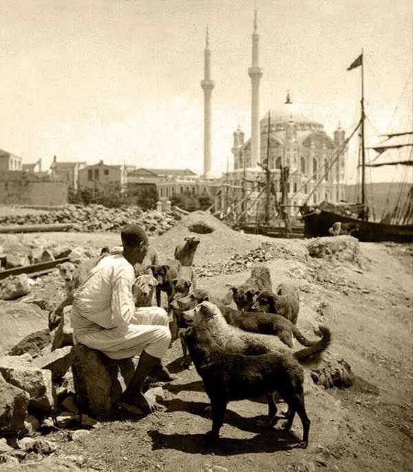 Osmanlıda sokak hayvanların beslenmesi ve bakımı maaş karşılığında Mancacı'lar tarafından yapılırdı. Yıl : 1910 Fotoğrafçı : N/A Yer : Ortaköy / İstanbul #Formula1 #picemiyeti #BirŞeyDicemBiBak