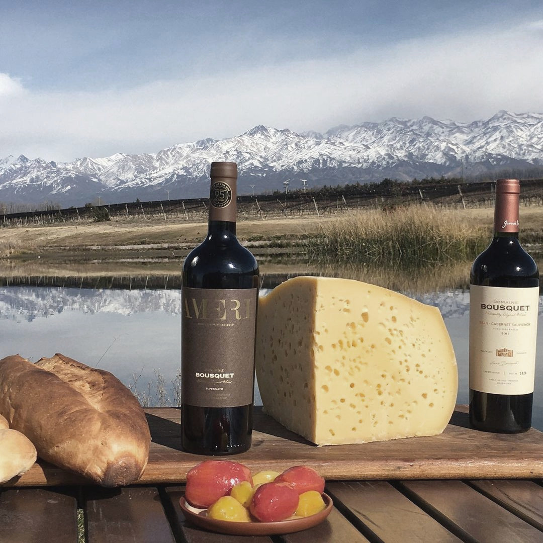 vinello_wine's tweet photo. Heute geht´s virtuell nach #Argentinien. Am Fuße der Anden liegt eines der größten Export-Weingüter des Landes, führend im Segment #Biowein. ⁣
⁣
Dank der Lage von @domaineBousquet, des Klimas und Bodens kommen diese #Weine auch ohne Pestizide aus: https://t.co/AxO7Q73yFt https://t.co/ZhRKiTIqc1