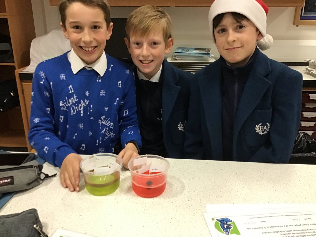 EdAcadScience's tweet photo. Macroscopic modelling of the microscopic world! @edinburghacad Geits have been developing their visuospatial skills in science this week; translating 2D images of living cells into 3D models! #Microscopy #3dmodeling #Science https://t.co/PzmNSFL6Ws