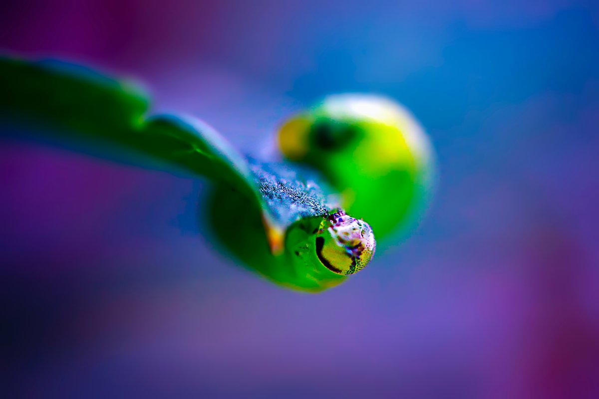 AGShot2's tweet image. 