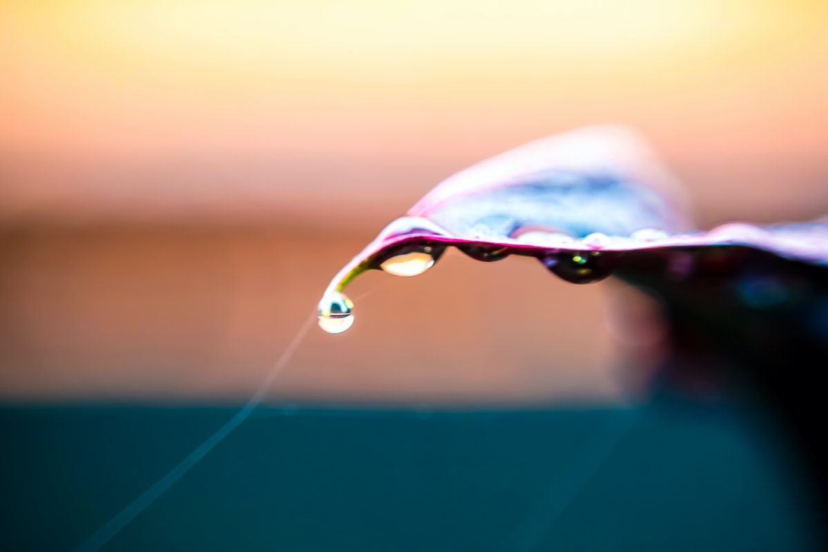 AGShot2's tweet image. 