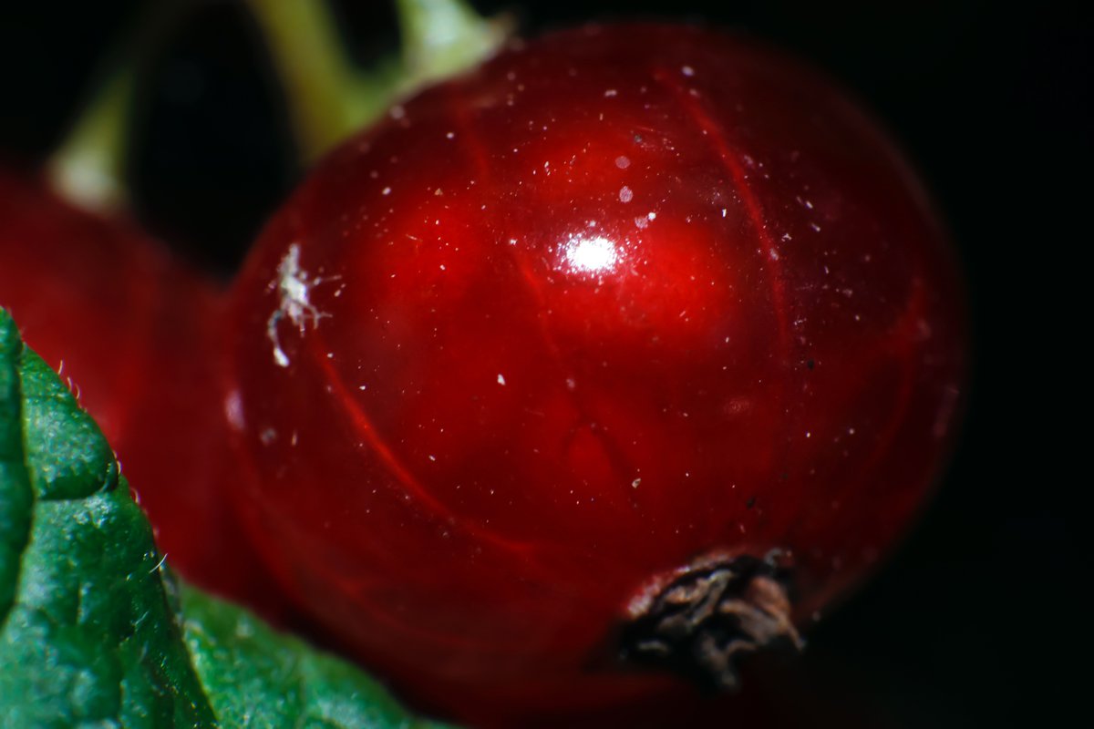 AGShot2's tweet image. 