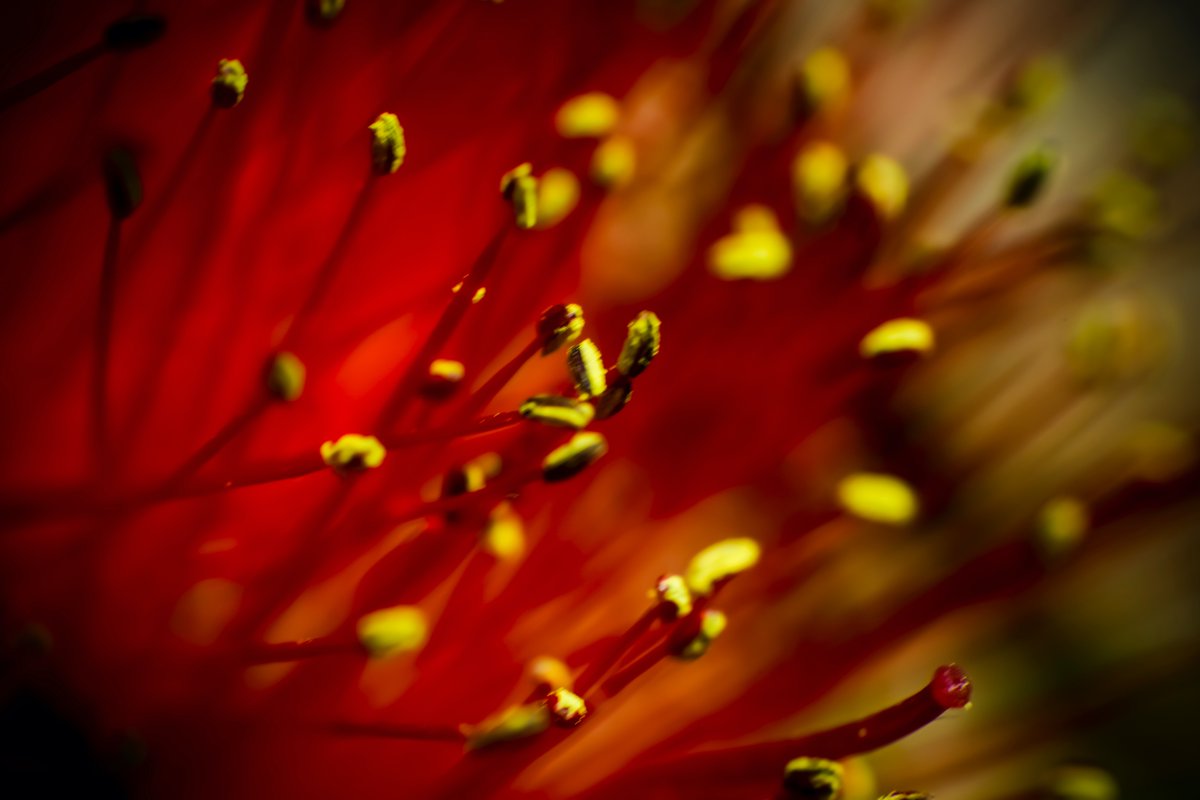 AGShot2's tweet image. 