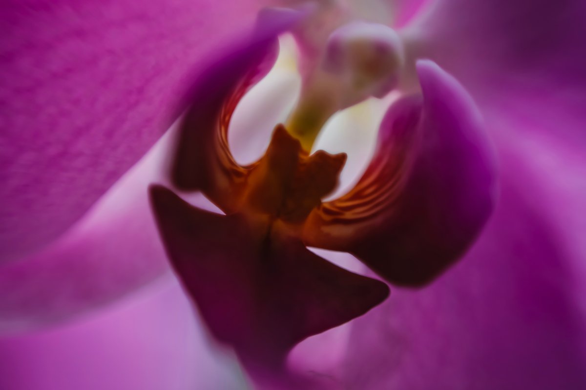 AGShot2's tweet image. 