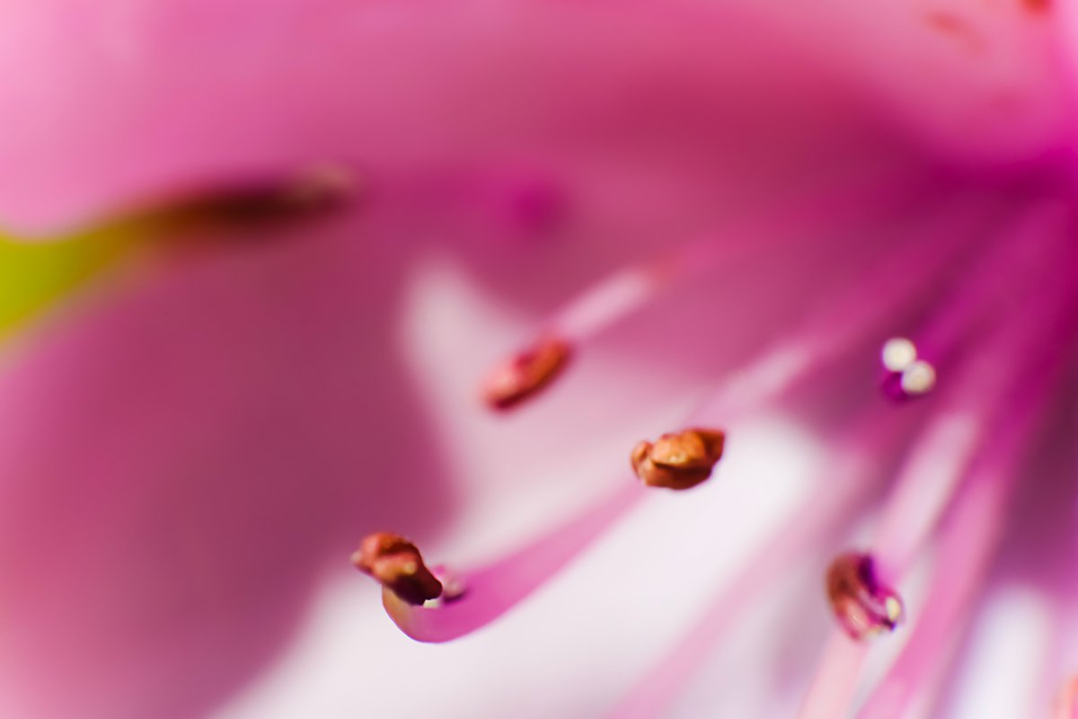 AGShot2's tweet image. 