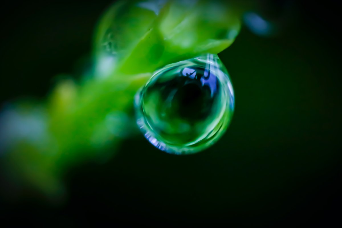 AGShot2's tweet image. 