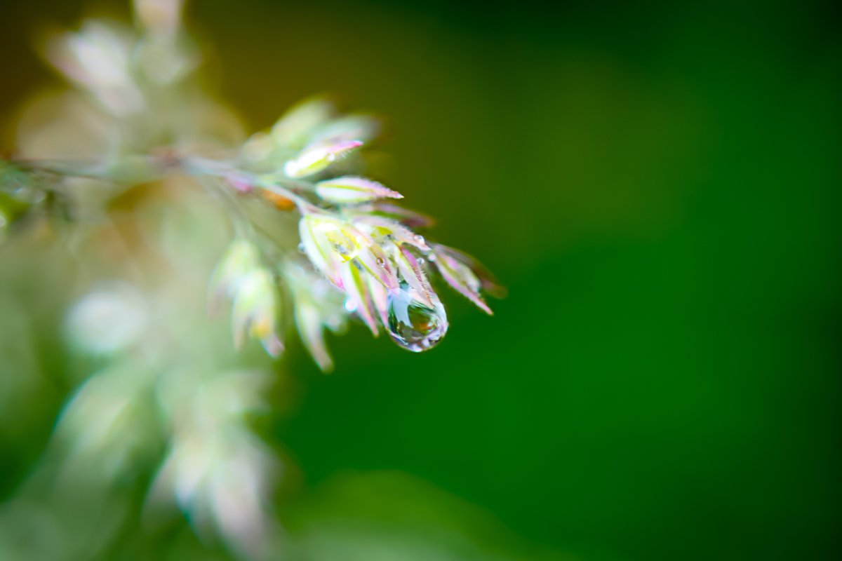 AGShot2's tweet image. 