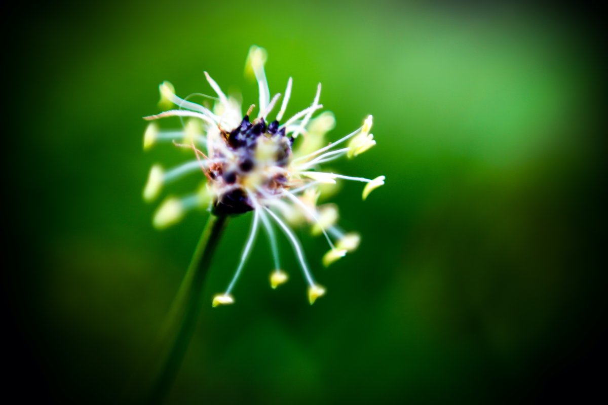 AGShot2's tweet image. 