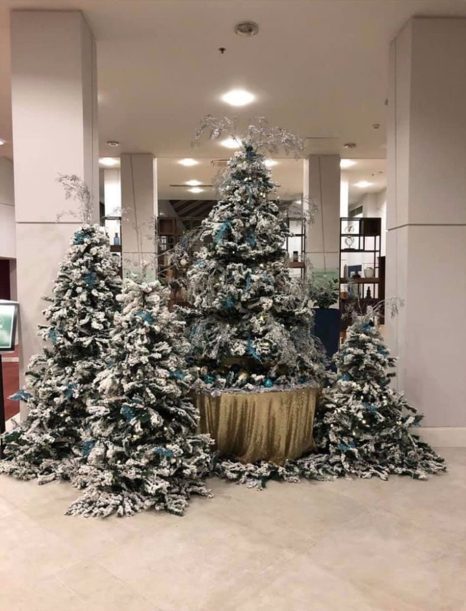 kcweddingevents's tweet photo. It starting to look like Christmas at the Ashford international hotel. The KC Elves have been at it again. Merry Christmas xx
#christmas2020 #kent #christmasinkent #christmasiscoming #ashfordinternationalhotel #christmasisntcancelled #amazingchristmas #christmasinashfordkent https://t.co/L2hYpkDDGo