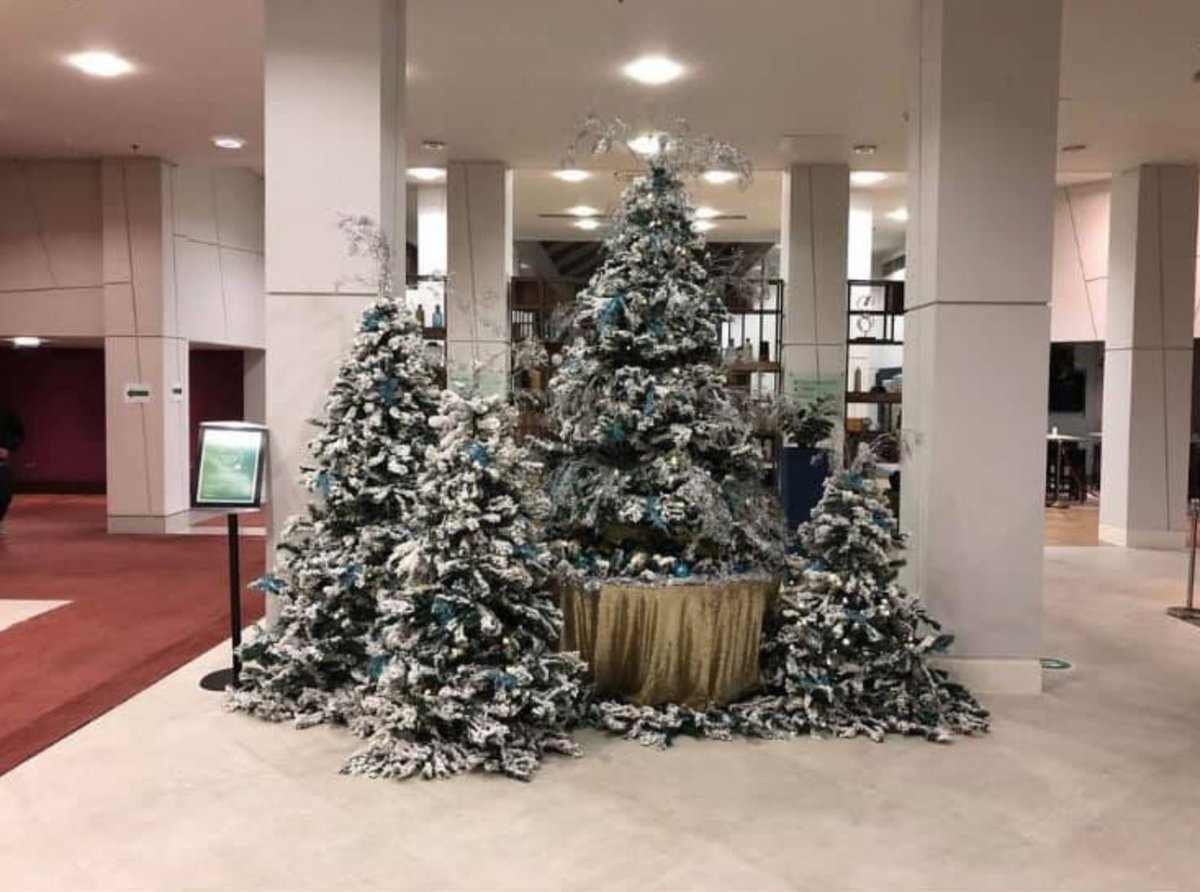 kcweddingevents's tweet photo. It starting to look like Christmas at the Ashford international hotel. The KC Elves have been at it again. Merry Christmas xx
#christmas2020 #kent #christmasinkent #christmasiscoming #ashfordinternationalhotel #christmasisntcancelled #amazingchristmas #christmasinashfordkent https://t.co/L2hYpkDDGo
