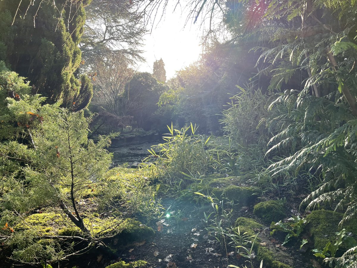 JoshStone_obc's tweet photo. Nice walk around the great @BlenheimPalace https://t.co/Ct7yFh5zaO
