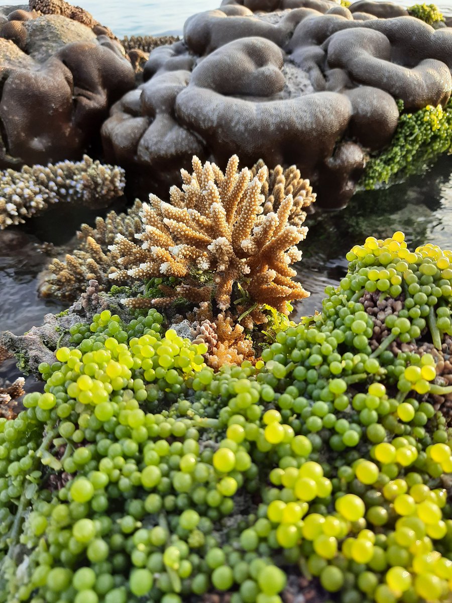 🌴 🦈 🎈 tweet media