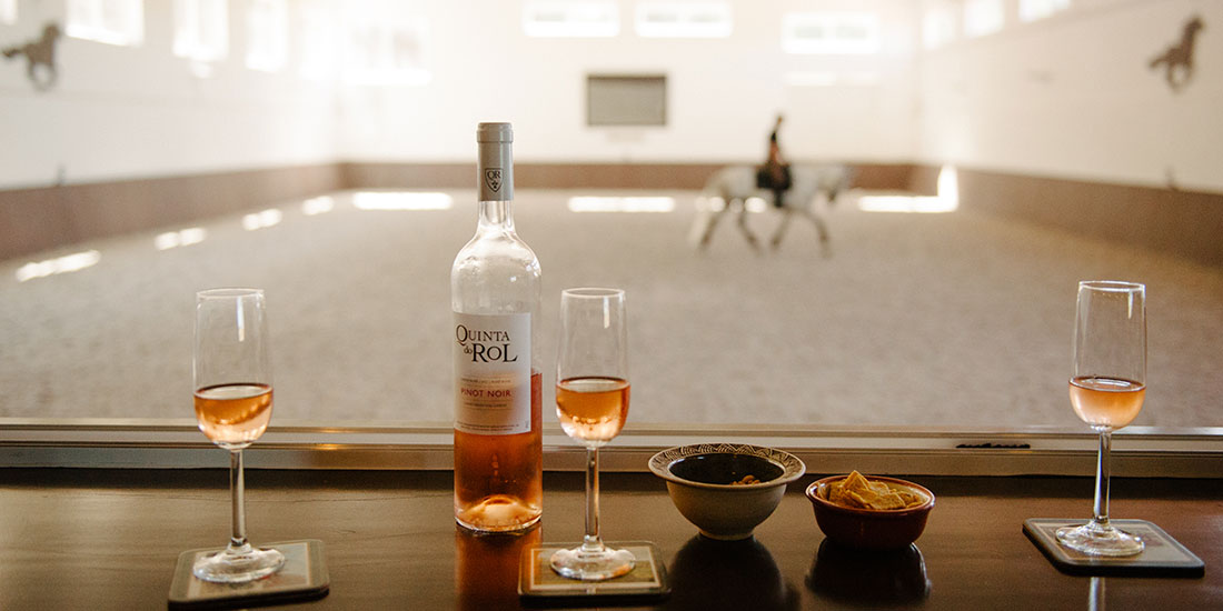 Já conhece o Centro Hipico da Quinta do Rol? bit.ly/1HkscT1