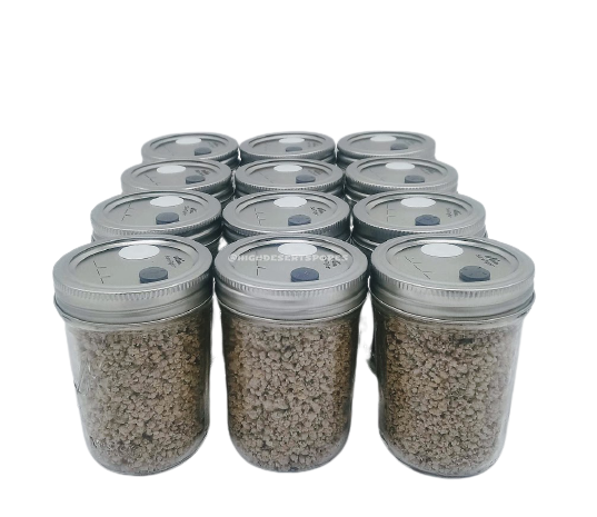 HdsStore's tweet image. Made to order BRF now available. In 1, 3, 6, and 12 jars. Check our site for more Mycology Tools and Supplies.