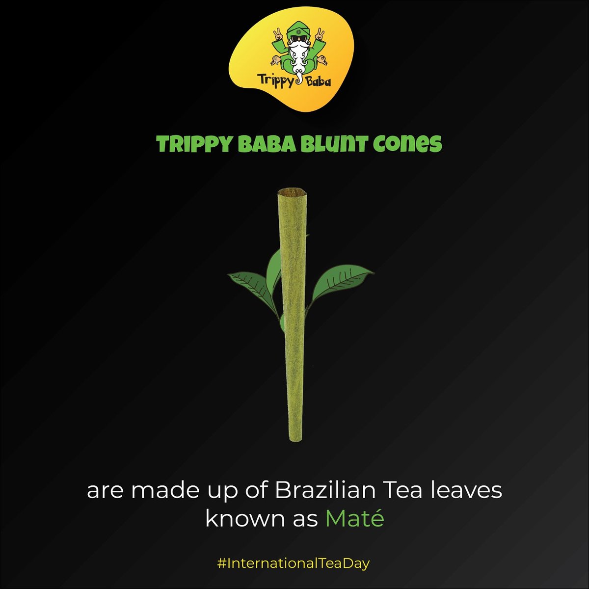 bongchieindia's tweet photo. Did you know?
Trippy Baba is a premium blunt cone from Bongchie made up of Brazilian tea leaves, Maté. 
#InternationalTeaDay #bongchie #herb #highlife #teaday https://t.co/UjIYTNYNiR