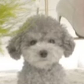 TaeyeonBrasil's tweet photo. Taeyeon: 😆
Zero: 😐 https://t.co/4d9QHLxRHa