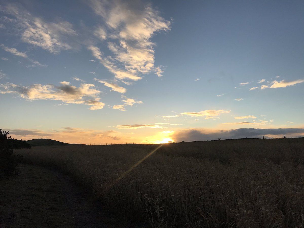 grj243's tweet photo. #boreda #goodmorning nice SW #wind this morning Best get back it’s #tweedoclock #pheasants #NorthWales 🏴󠁧󠁢󠁷󠁬󠁳󠁿 https://t.co/2fS40vC65l