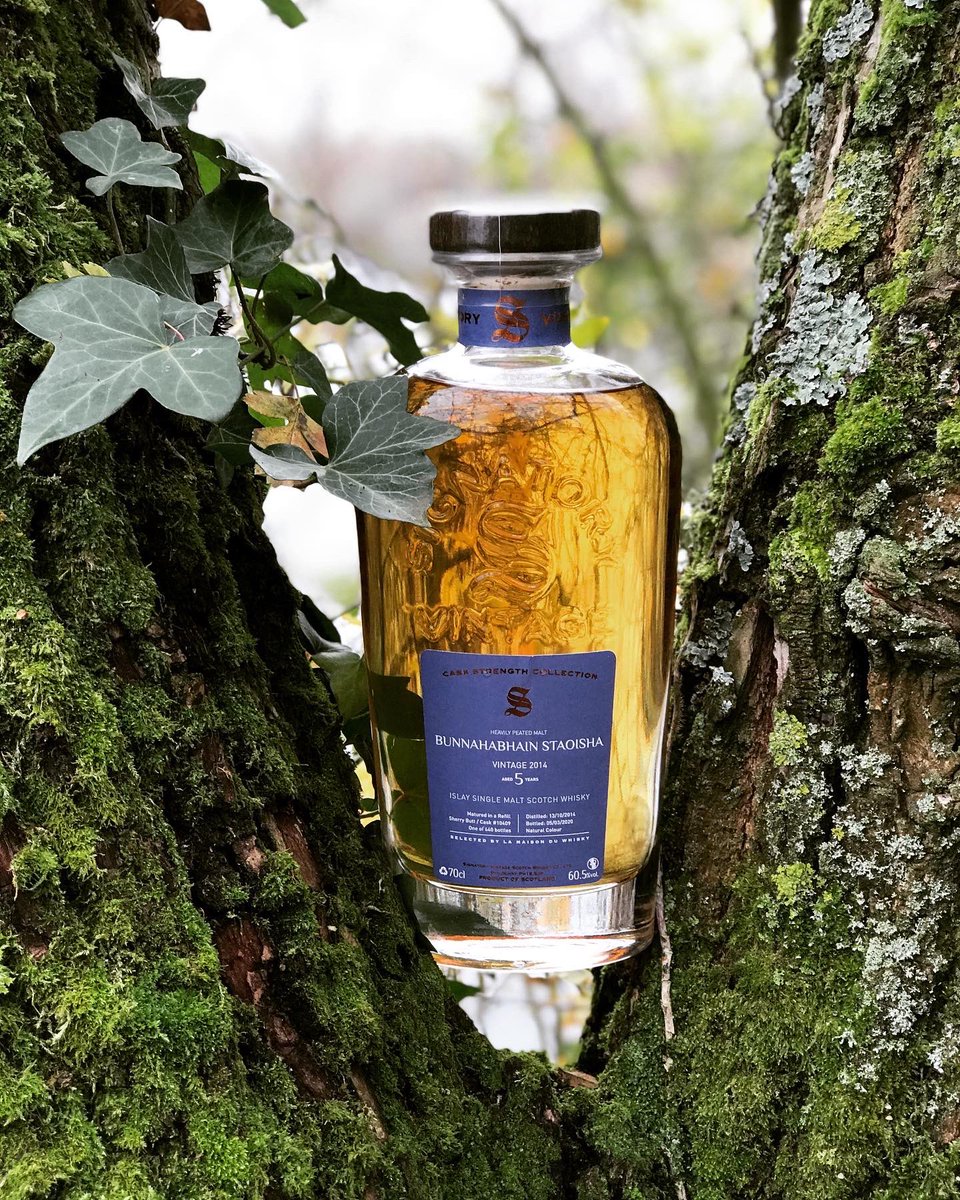Arthuurab's tweet photo. 🏴󠁧󠁢󠁳󠁣󠁴󠁿 Bunnahabhain Staoisha 5 ans SV 2014.
À déguster au coin du feu en écoutant White Christmas par « the drifters.  #Christmas #whisky #bunnahabhain #whiskyentreamis #lmdw https://t.co/hKvselpkNz