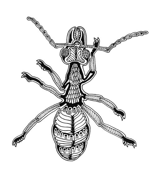 FormicidaeNews's tweet photo. antscience: New exciting positions (1 postdoc and 3 phds) are available at our lab to work on new ant-related projects in New Guinea and Borneo: Deadline to apply 15th January, 2021. https://t.co/WDeQ0Ao9fF https://t.co/DSsrejwNmm