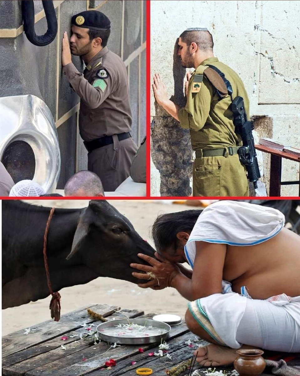 ع.ـبداللـه.•° 🆚 عبدالله tweet media