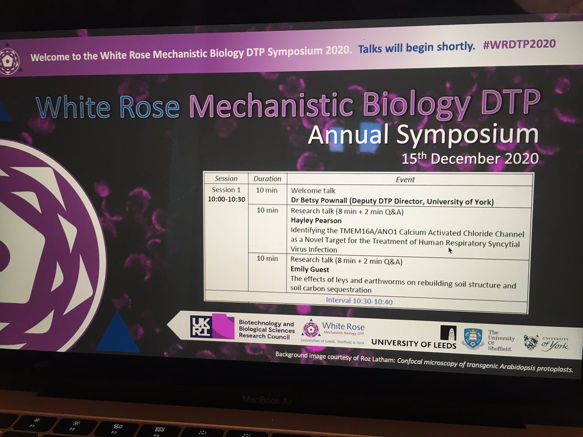 First symposium I’ve helped organise and in true 2020 style it’s virtual! Fingers crossed there are no major technical issues🤞 #WRDTP20 @BBSRCWhiteRose