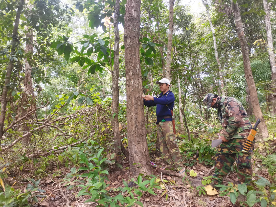 phommakone's tweet photo. #CommunityForestManagement is to help the local for wise use of natural resources to be available from generation to generation in conjunction with livelihood development to address the immediate need. @GEF_SGP @CatherinePhuong https://t.co/VVWFGuBn86