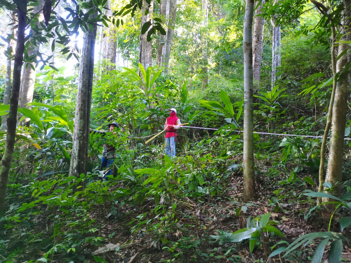 phommakone's tweet photo. #CommunityForestManagement is to help the local for wise use of natural resources to be available from generation to generation in conjunction with livelihood development to address the immediate need. @GEF_SGP @CatherinePhuong https://t.co/VVWFGuBn86