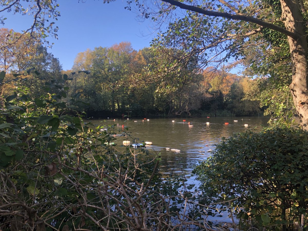 Sofia Olins tweet media