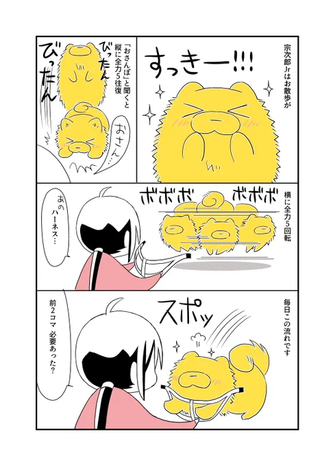 お散歩嫌いが思いのほか多いと言われる小型犬、うちはこんなんです。雨の日はこの世の終わりみたいな顔してます。#宗次郎Jr #ちびポメ 