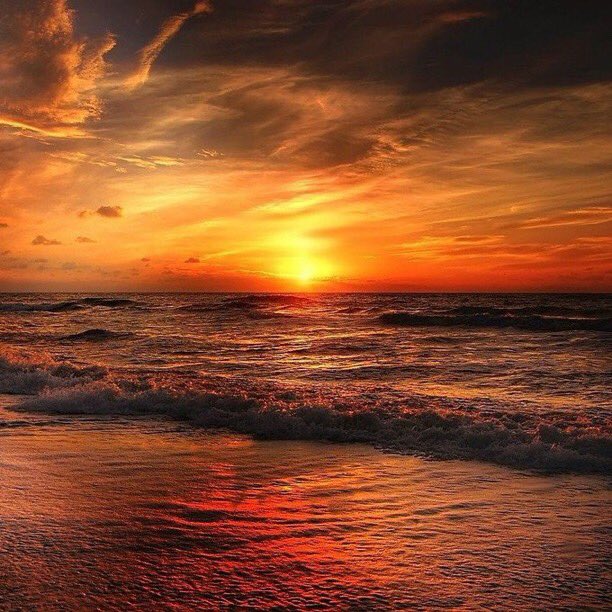 Rashami Ruling 4M Hearts