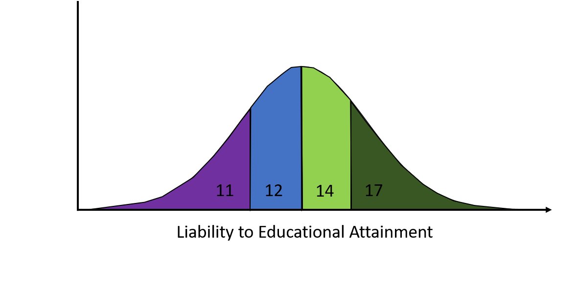 (1.) Categorical phenotypes can be conceptualised in terms of an underlying latent trait (liability), e.g. liability to type II diabetes or educational attainment. Liability reflects a combination of genetic, environmental and stochastic factors.