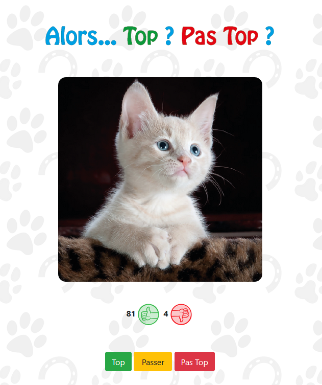Top__Animals's tweet photo. Alors… Top ou Pas top ?
https://t.co/FixKusvPeb
#cats #dogs #horse #chat #chien #cheval #catoftwitter #dogsoftwitter #horsesoftwitter #topanimals https://t.co/l2C91MtLzW