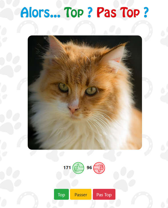 Top__Animals's tweet photo. So... Top or Not top ?
https://t.co/FixKusvPeb
#cats #dogs #horse #chat #chien #cheval #catoftwitter #dogsoftwitter #horsesoftwitter #topanimals #USA #France #England https://t.co/wgxpVahx3D