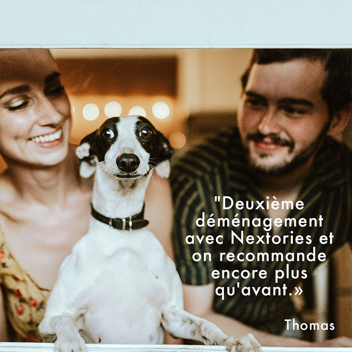 Nextories tweet media