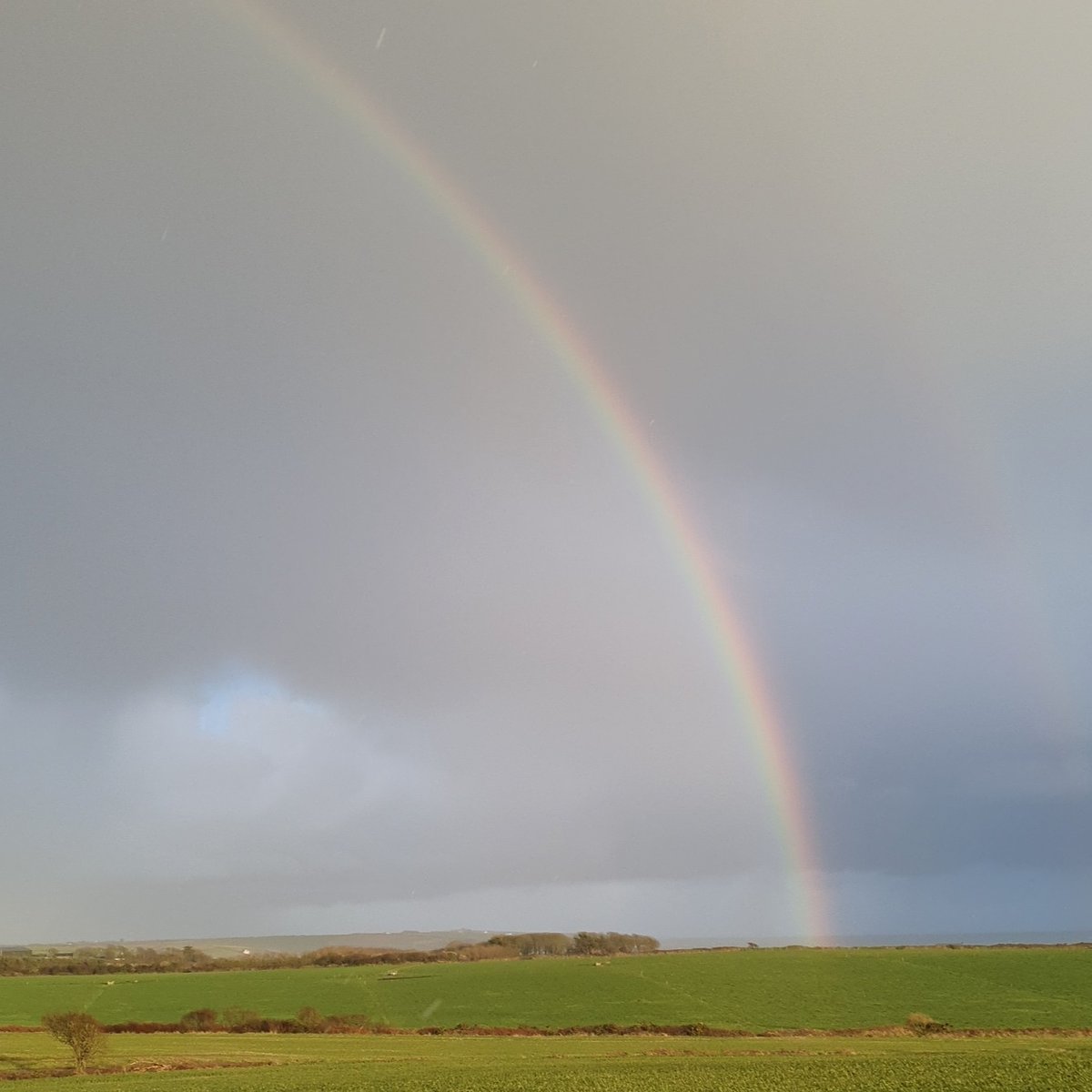Yesterday's rainbow 🌈 
#somewhereovertherainbow