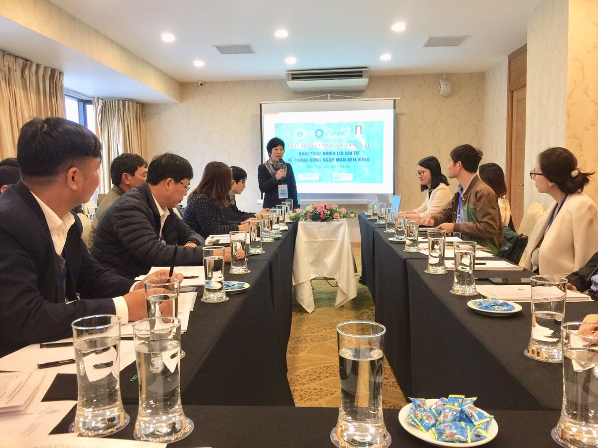 Resilient Mangroves tweet media