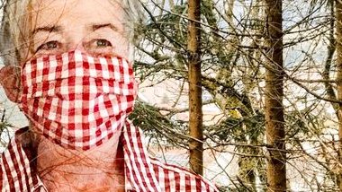 Bernhard Rieger (#mitdemvirusleben #1bis19) (@undcorona) on Twitter photo 