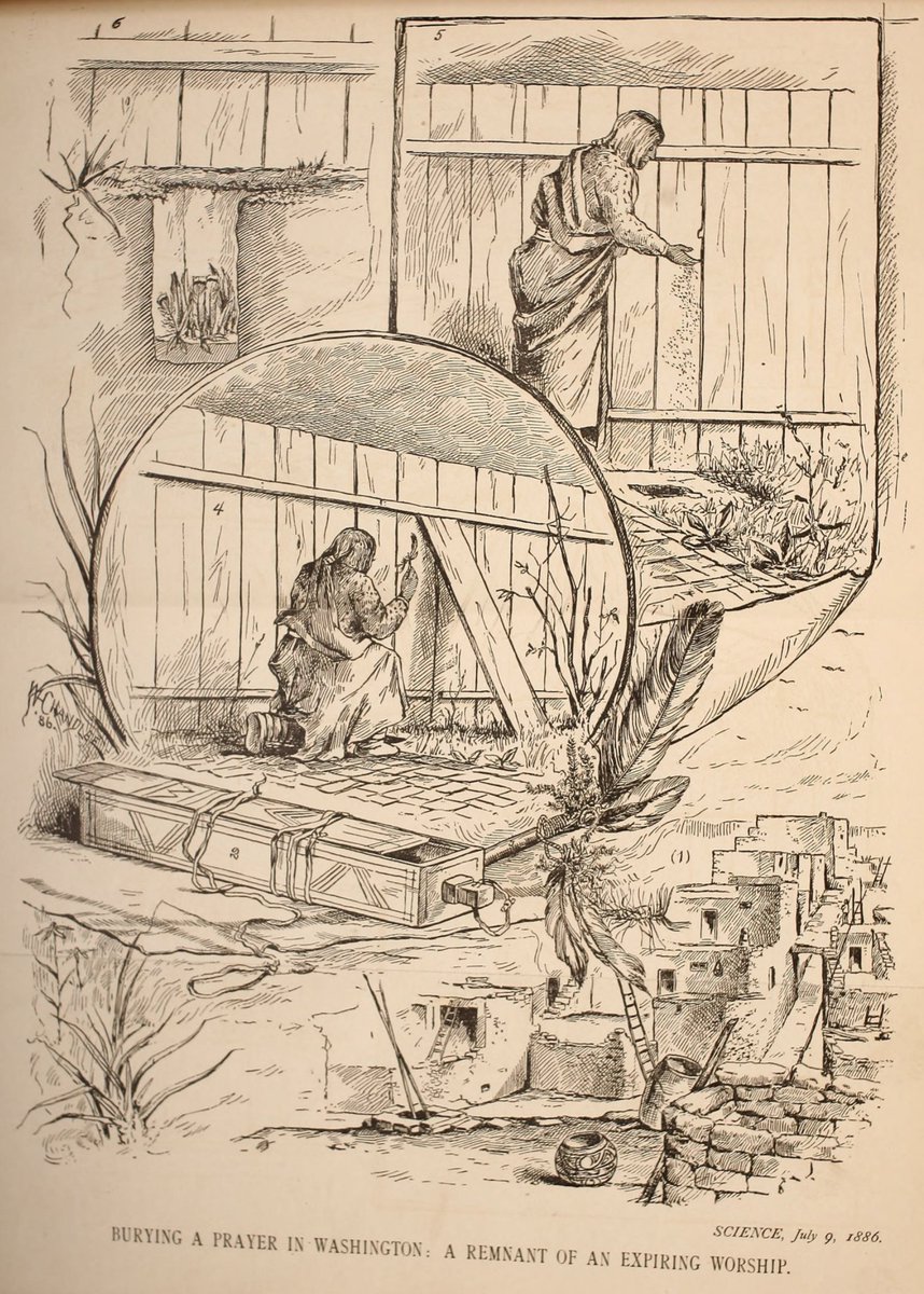 We'wha, said to be a Zuni princess, made a splash in DC. They went to the Smithsonian & demonstrated weaving for a photographer (pics above). When they made an offering during the summer solstice, the ceremony was covered by  @ScienceMagazine. They even met Pres. Grover Cleveland.